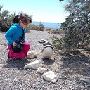 ����� ����� �� ������� ���� ����������