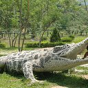 , ,  !   ...       ,   ...   