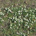 ���� �����, ������, 67 ��� - ��������� 21 ������� 2013 � ������ ���� ����������