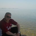 ���� ����, ������ - ��������� 29 ������� 2013 � ������ ���� ����������