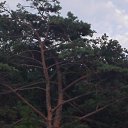 ���� ������, �����������, 65 ��� - ��������� 28 ������� 2013