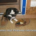 ���� ����, ������, 43 ���� - ��������� 10 ������ 2013 � ������ ���� ����������