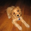 ���� �����, �������, 24 ���� - ��������� 13 ������� 2013 � ������ ���� ����������