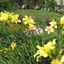 ���� ����, ������ �������� - ��������� 20 ������� 2013 � ������ ���� ����������