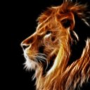 ���� ��������, ������ - ��������� 15 ����� 2014 � ������ ������ ��������