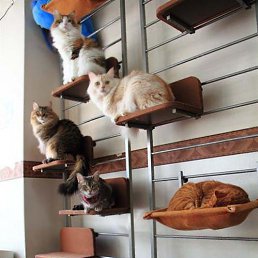 ���� �������� �, ������������, 59 ��� - ��������� 10 ������� 2014