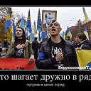 ���� ���������, �������� - ��������� 16 ��� 2014 � ������ ������ ��������