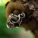 ���� ������, �����-���������, 51 ��� - ��������� 13 ������� 2014 � ������ �������