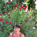 ���� ���������, ����, 72 ���� - ��������� 19 ���� 2014