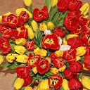 ���� ������, ������������, 52 ���� - ��������� 16 ������� 2014 � ������ ������ ��������