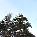 ���� �������, ������, 36 ��� - ��������� 8 ������� 2014 � ������ ����-�� �����...�