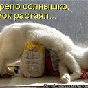 ���� ���������, ��������, 69 ��� - ��������� 20 ����� 2014 � ������ ������ ��������