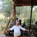 ���� ����, ���������, 54 ���� - ��������� 22 ������� 2014 � ������ ���� ����������