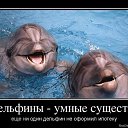 ���� ���������, ������, 56 ��� - ��������� 21 ����� 2014 � ������ ������ ��������