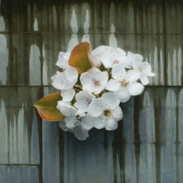  Floral       Patrick Kramer - 2