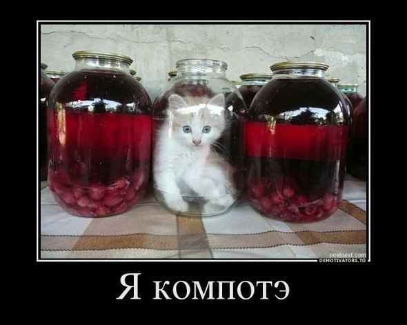 ���� � ������� - 24 ��� 2014 � 01:37