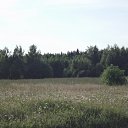 ���� ��������, ���������, 53 ���� - ��������� 4 ��� 2014 � ������ ������ ��������