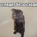 ���� ���� ������, ����������� - ��������� 28 ����� 2014 � ������ ������ ��������