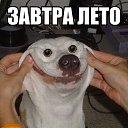 ���� ��������, �����������, 58 ��� - ��������� 3 ���� 2014 � ������ ������ ��������