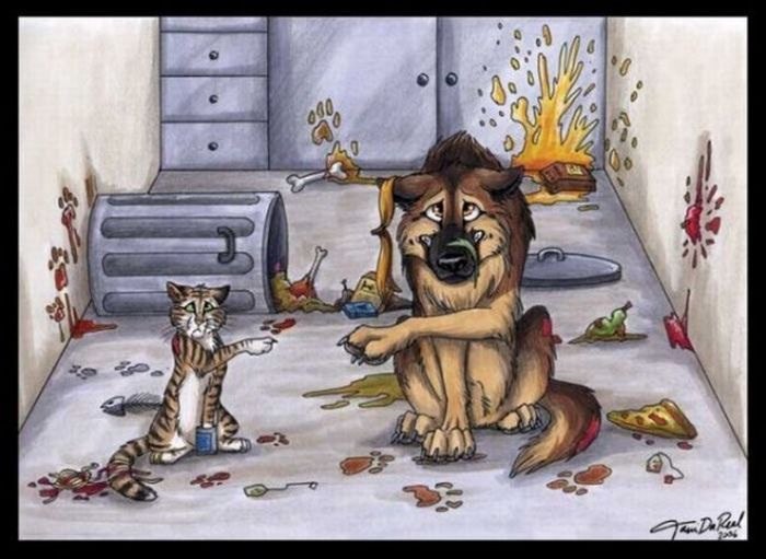 .•°Dogs Forever°•. - 2  2014  19:47