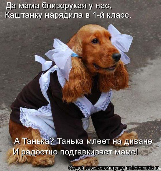 Marina - 17  2014  08:03