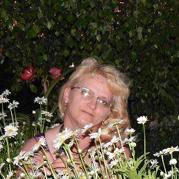 ���� �����, �������, 54 ���� - ��������� 23 ���� 2014