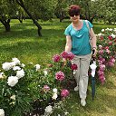 ���� ��������, ������ - ��������� 19 ���� 2014 � ������ ���� ����������