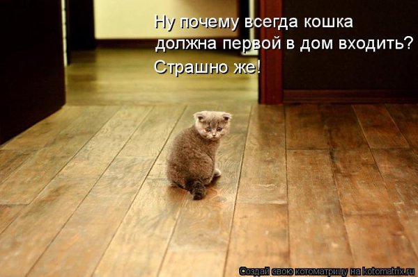  - 21  2014  17:25