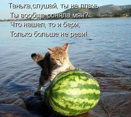   :3 - 1  2014  13:11