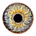  Sergey, , 54  -  1  2014    