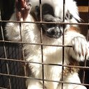 ���� �������, ���������, 62 ���� - ��������� 14 ������� 2014 � ������ ���� ����������