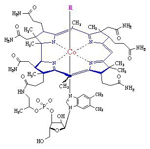  B12 ().  -    B12,      ...