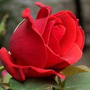 ���� �����, ����� - ��������� 2 ��� 2014 � ������ ������ ��������