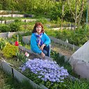 ���� �������, �����������, 71 ��� - ��������� 25 ��� 2014 � ������ ���� ����������