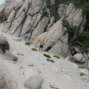 ���� �������, �������, 41 ��� - ��������� 17 ���� 2014 � ������ ���� ����������