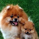 ��� ����� �� ������� ���� ����������