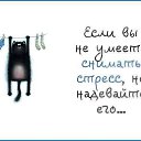 ���� ������, ��������� - ��������� 23 ���� 2014 � ������ ������ ��������