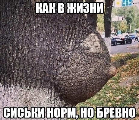 ##  ## - 30  2014  03:58