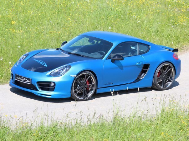 Porsche Cayman S SpeedART SP81-CR 360 (981C), 2013.  : 300 /   100 ... - 7