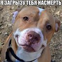 ��������?))))) �� ������� ���� ����������