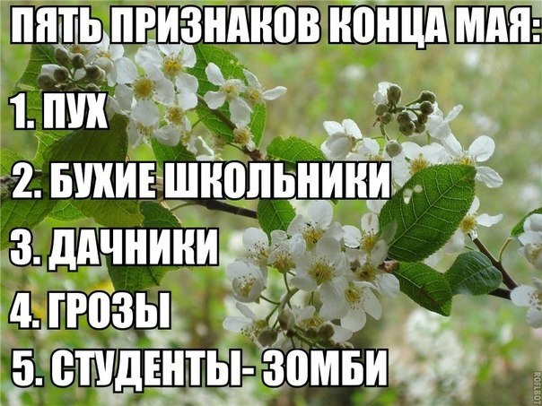 /zev/null - 27  2014  07:26