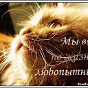  Lyubasha,  -  23  2014    
