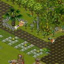 ���� �������, ��������������, 28 ��� - ��������� 18 ������ 2014 � ������ �Tropikania�