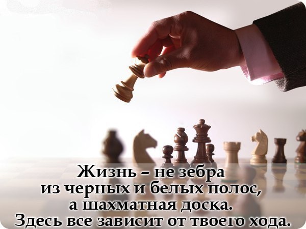  ( ) - 22  2014  02:28