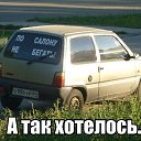���� �����, ���������, 54 ���� - ��������� 7 ���� 2014 � ������ ������ ��������