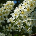 ���� ����, �����-���������, 57 ��� - ��������� 24 ��� 2014 � ������ ������ ��������