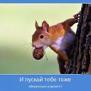 ���� ����, �������, 55 ��� - ��������� 31 ����� 2014 � ������ ������ ��������