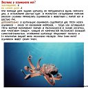 ���� �, ������ - ��������� 5 ������ 2014 � ������ ������ ��������