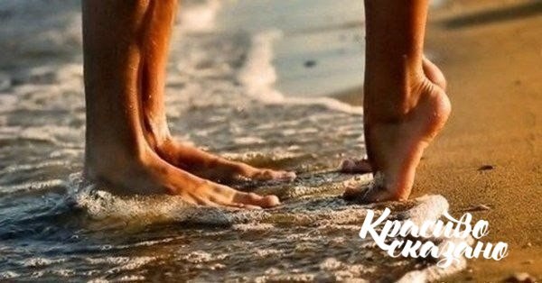 �� ���� ������ ������. ���� ������ � ��������, �������������� ������� ������, ������� �� ������� �� ...