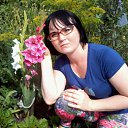 ���� ����, ����� - ��������� 26 ���� 2014 � ������ ���� ����������